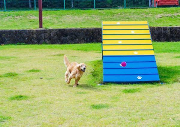 「約８年間、ひたむきに勤務」　那須のホテルで人々を癒し続けたのは…