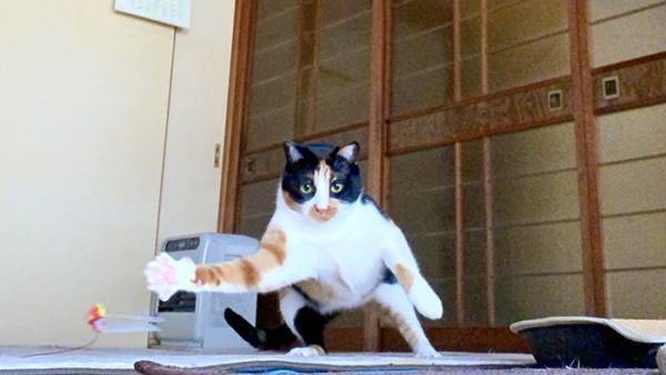 災害時にたくさんの人を笑顔にした１枚　「これは励まされる」「安心感が半端ない」