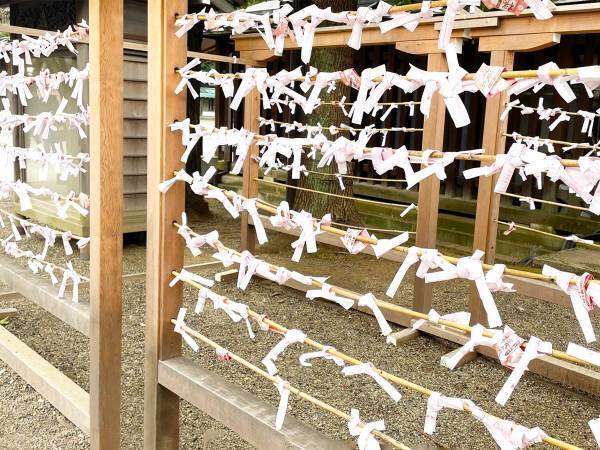 「神職さんからのお願い」　おみくじを結ぶ時のNGに「気を付けよう」「反省した」