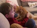 「こんなにも人間に恋する猫を初めて見た」　男の子にメロメロの猫がコチラ！