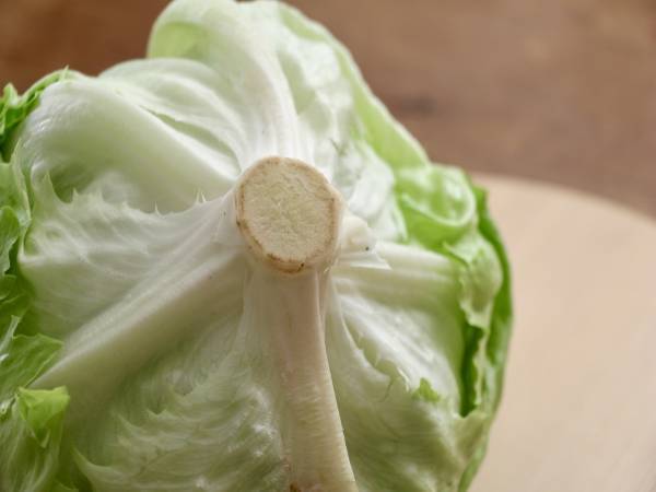 包丁要らず！　レタスの芯を一瞬で取る方法に「マジか」「簡単すぎ」