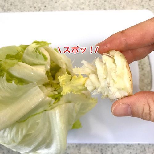 包丁要らず！　レタスの芯を一瞬で取る方法に「マジか」「簡単すぎ」