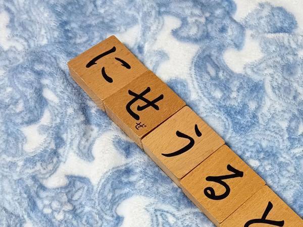 「何か重大なメッセージを残して去って行った」　姪が並べた言葉がこちら