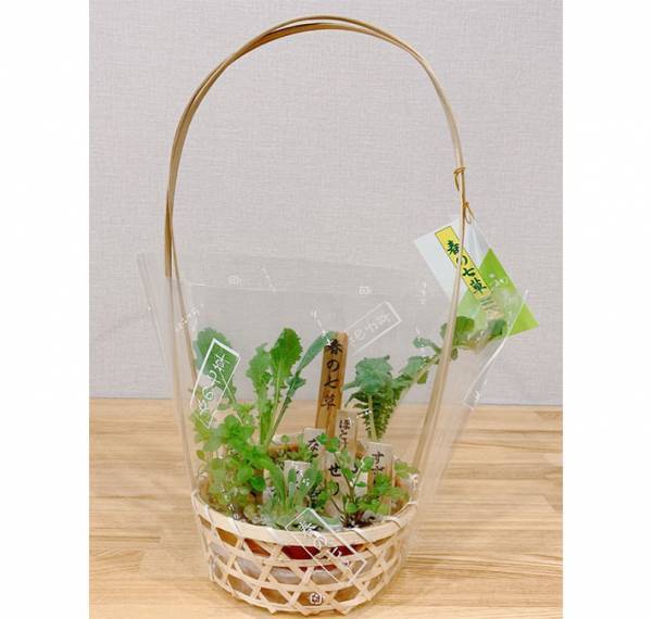 「こんなの初めて見た～」　スーパーで『春の七草』を買った女性、衝撃の事実に「え？」