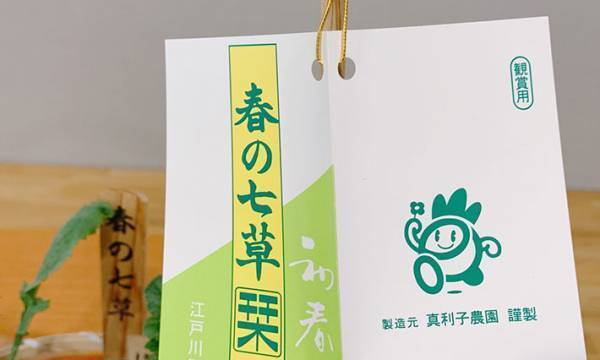 「こんなの初めて見た～」　スーパーで『春の七草』を買った女性、衝撃の事実に「え？」