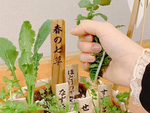 「こんなの初めて見た～」　スーパーで『春の七草』を買った女性、衝撃の事実に「え？」