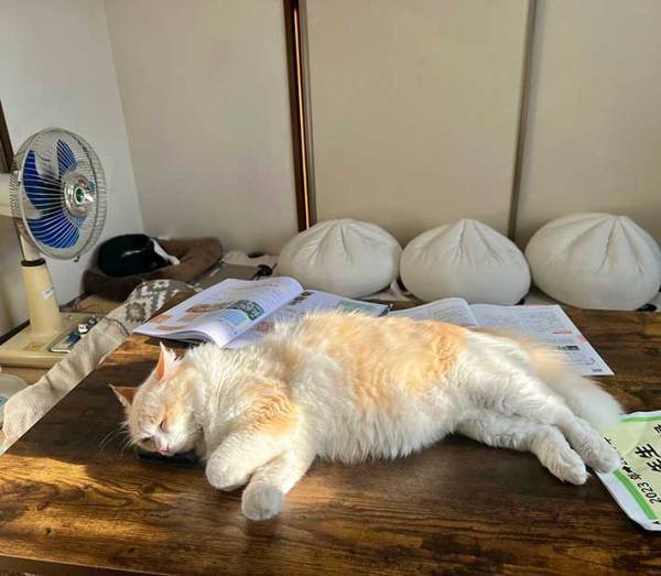 「娘よ、探しているスマホを見つけましたよ」　３枚の写真に、笑いがこみ上げる