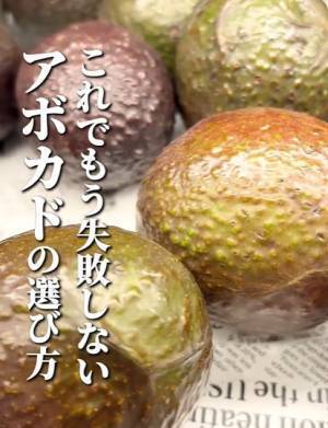 おいしいアボカドの見分け方　野菜のエキスパートが教えるポイントに「意識してみる」「なるほどです」