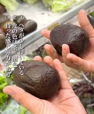 おいしいアボカドの見分け方　野菜のエキスパートが教えるポイントに「意識してみる」「なるほどです」