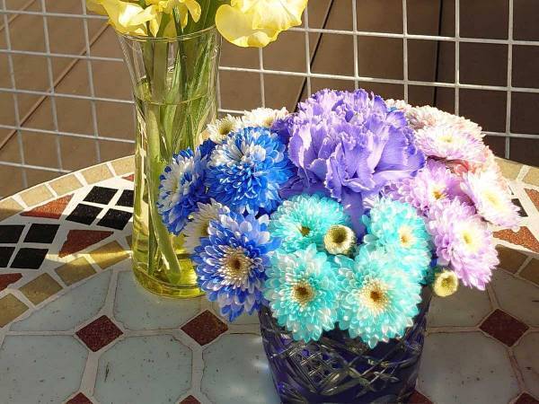 SNSに投稿された花の写真　写り込んだ犬の様子に「面白すぎる」「後ろ後ろ～！」