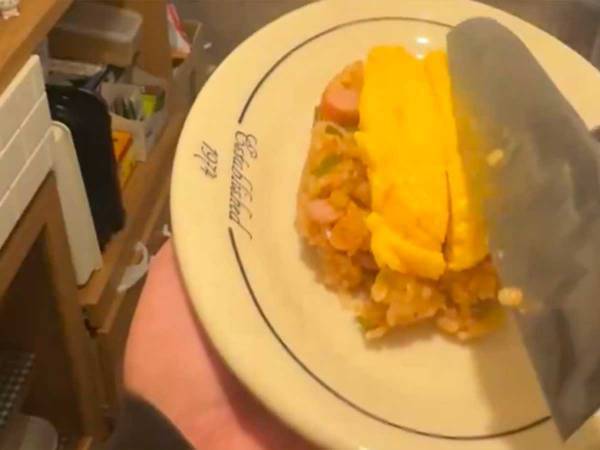 ふわトロな半熟卵に憧れるけど？　家庭で作る『オムライスの現実』に「笑った」「思ってたのと違う」