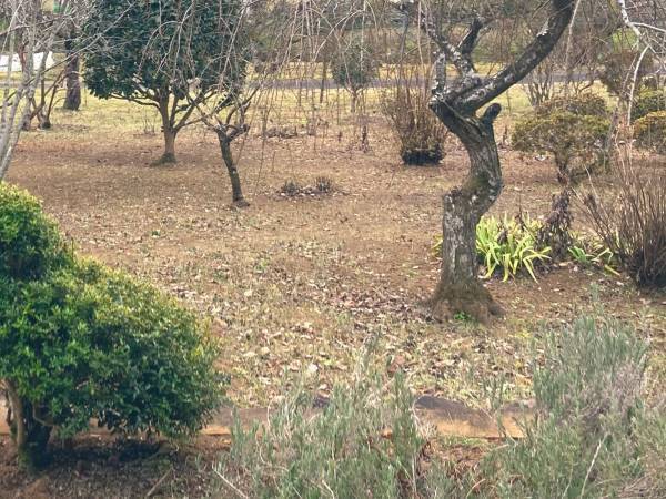 「バレてしまいました」　おばの家で、秘密裏に進めていた計画がすごい！