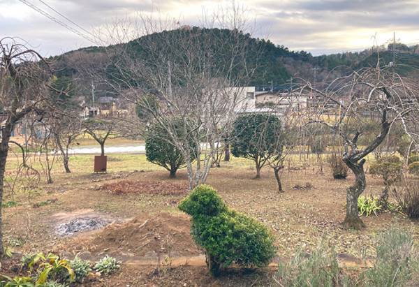 「バレてしまいました」　おばの家で、秘密裏に進めていた計画がすごい！