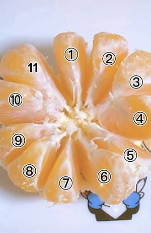 覚えておくと楽しい！ミカンの豆知識　ヘタをとってくぼみを見ると…？