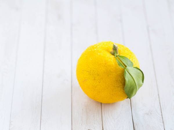 ゆず湯で使った『ゆず』のおしゃれな活用法　「今まで捨ててた」「こんな使い方が」