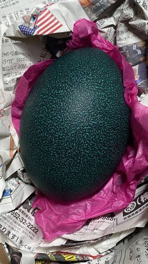 串に刺さった『おでん』に仰天　違和感のある卵に「バグる」