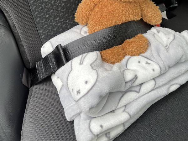 「私も爆笑しました」「こんなことがあるんだ！」　車を点検に出したら？