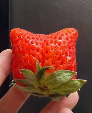 これは食べられない…　イチゴの形に６万人が共感