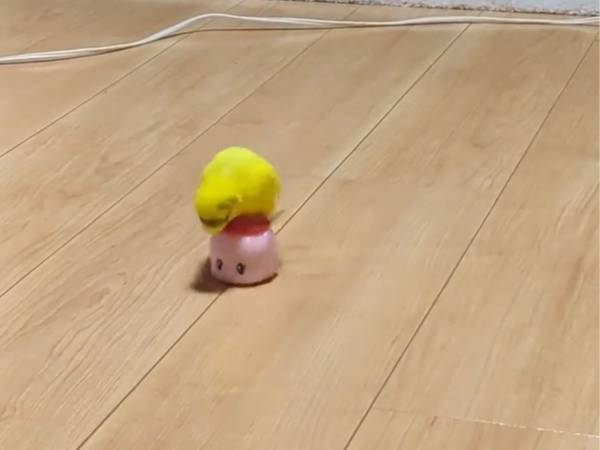 「かなりの力技で爆笑」「変な声がでた」　糊の上に乗ったインコの行動が？