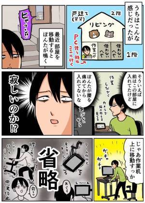 猫のために模様替えをした飼い主　結末に「まったく同じ状況」「笑った」