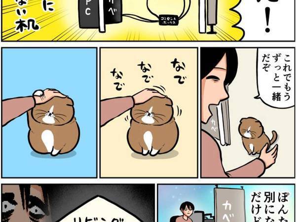 猫のために模様替えをした飼い主　結末に「まったく同じ状況」「笑った」