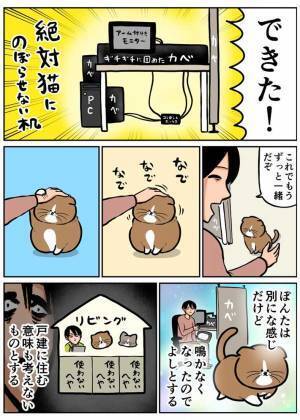 猫のために模様替えをした飼い主　結末に「まったく同じ状況」「笑った」