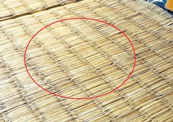 家具をどかしたら、畳がへこんでる…　意外な直し方に「半信半疑だった」