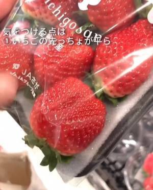 農家の孫が教える『甘いイチゴ』の見分け方　着眼点に「そこを見るのか」「適当に選んでました」