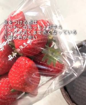 農家の孫が教える『甘いイチゴ』の見分け方　着眼点に「そこを見るのか」「適当に選んでました」