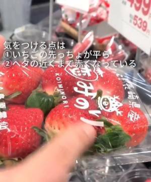 農家の孫が教える『甘いイチゴ』の見分け方　着眼点に「そこを見るのか」「適当に選んでました」