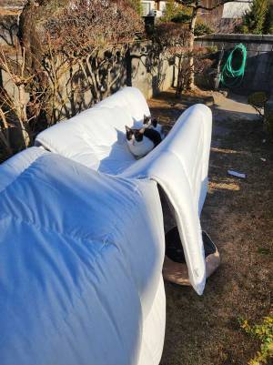 強風の日に干した布団　飛ばなかった理由に、キュンとする人が続出　「いい仕事っぷり」