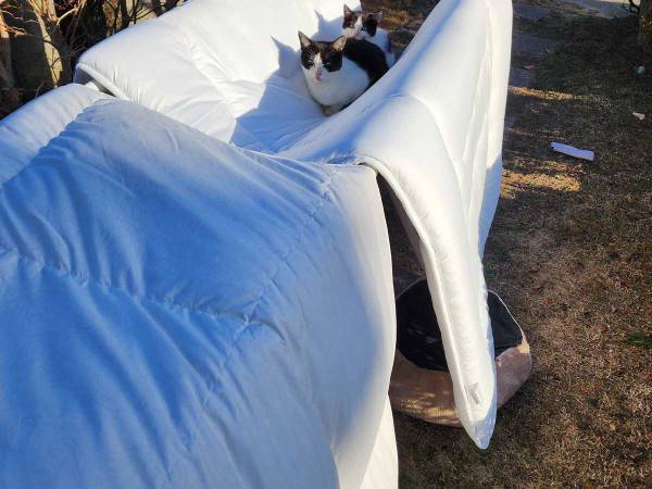 強風の日に干した布団　飛ばなかった理由に、キュンとする人が続出　「いい仕事っぷり」