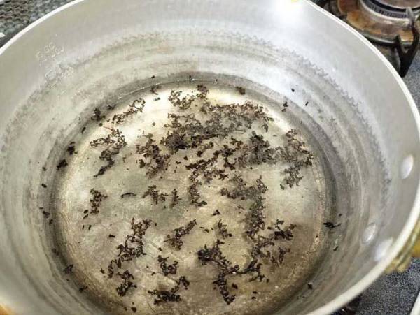 日東紅茶「牛乳だけで作らないで」　家でできる！お店みたいな『ミルクティーの作り方』