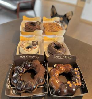 「大人もいいもんだぞ」　写った光景に「マジでそれ！」「写り込みに吹いた」