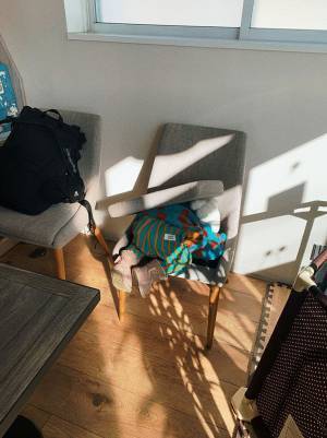 これが２歳の全力…！　かくれんぼをする子供の姿に「可愛すぎるだろ」「癒された」