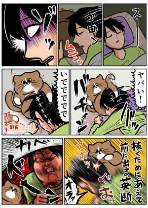 飼い主の寝返りにイラッ！　猫の攻撃から始まる連鎖に「爆笑した」「あるある」