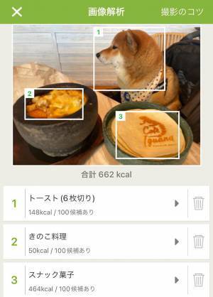 柴犬を食べ物判定するアプリ　『表示された料理名』に「ウケる」「似ているから仕方ないね」