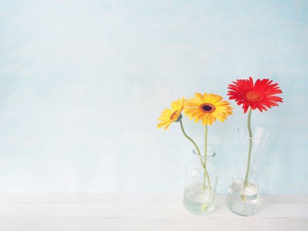 「こういう商品待っていた」「入れるだけでおしゃれ」　切り花を美しく飾るカインズアイテムとは