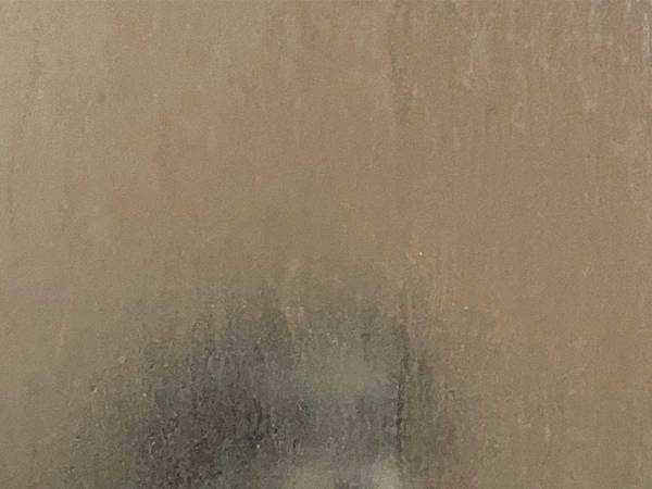 『居る』　飼い主が投稿した１枚に「笑った」「怖いけどかわいい」