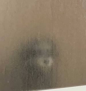 『居る』　飼い主が投稿した１枚に「笑った」「怖いけどかわいい」