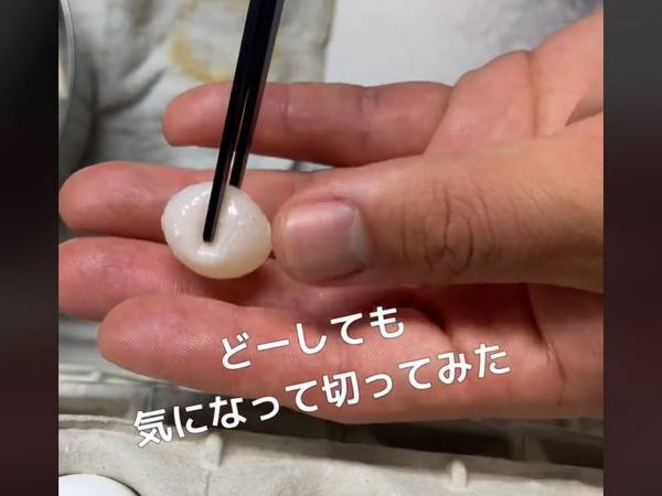 「コレなんやと思う？」　黄身と一緒に入っていたモノに「初めて見た」「すげぇ！」