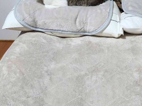 愛猫に枕を取られた飼い主　新しい枕を買った『結果』に「これは泣く」「爆笑した」