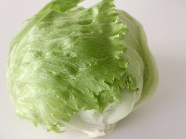 レタスを日持ちさせるには？　カゴメが教える方法に「勉強になりました」「やってみる」