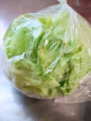レタスを日持ちさせるには？　カゴメが教える方法に「勉強になりました」「やってみる」