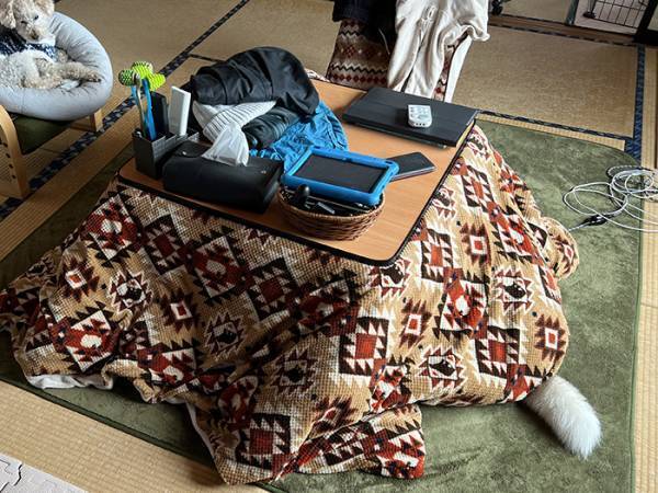 『最強の寒波』を察したハスキー　その姿に「マジかよ」「爆笑したわ」