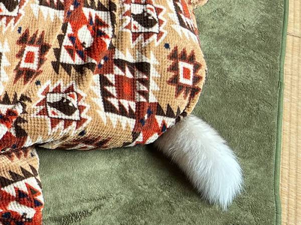 『最強の寒波』を察したハスキー　その姿に「マジかよ」「爆笑したわ」