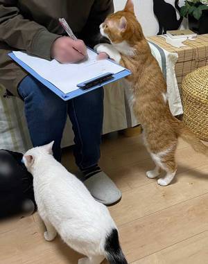 話題の整体院　お客さんが質問表を記入していると…？　「最高！」「癒される」