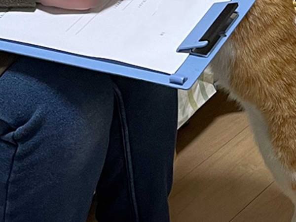 話題の整体院　お客さんが質問表を記入していると…？　「最高！」「癒される」