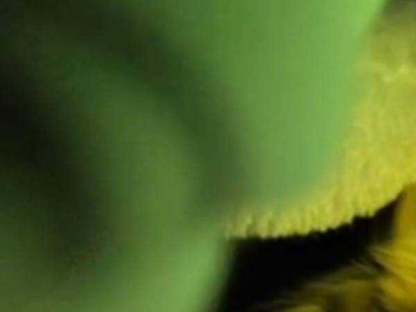 夜中に突然「カシャッ」とスマホのシャッター音…　写真を見て「１枚も消せない！」