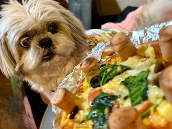 料理初心者の夫が焼いたピザ　具材のせいで「悪夢」「うわあああぁ！」